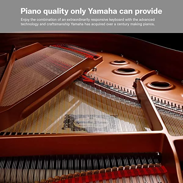 YAMAHA P125 88-Key Weighted Action Digital Piano with Power Supply and Sustain Pedal