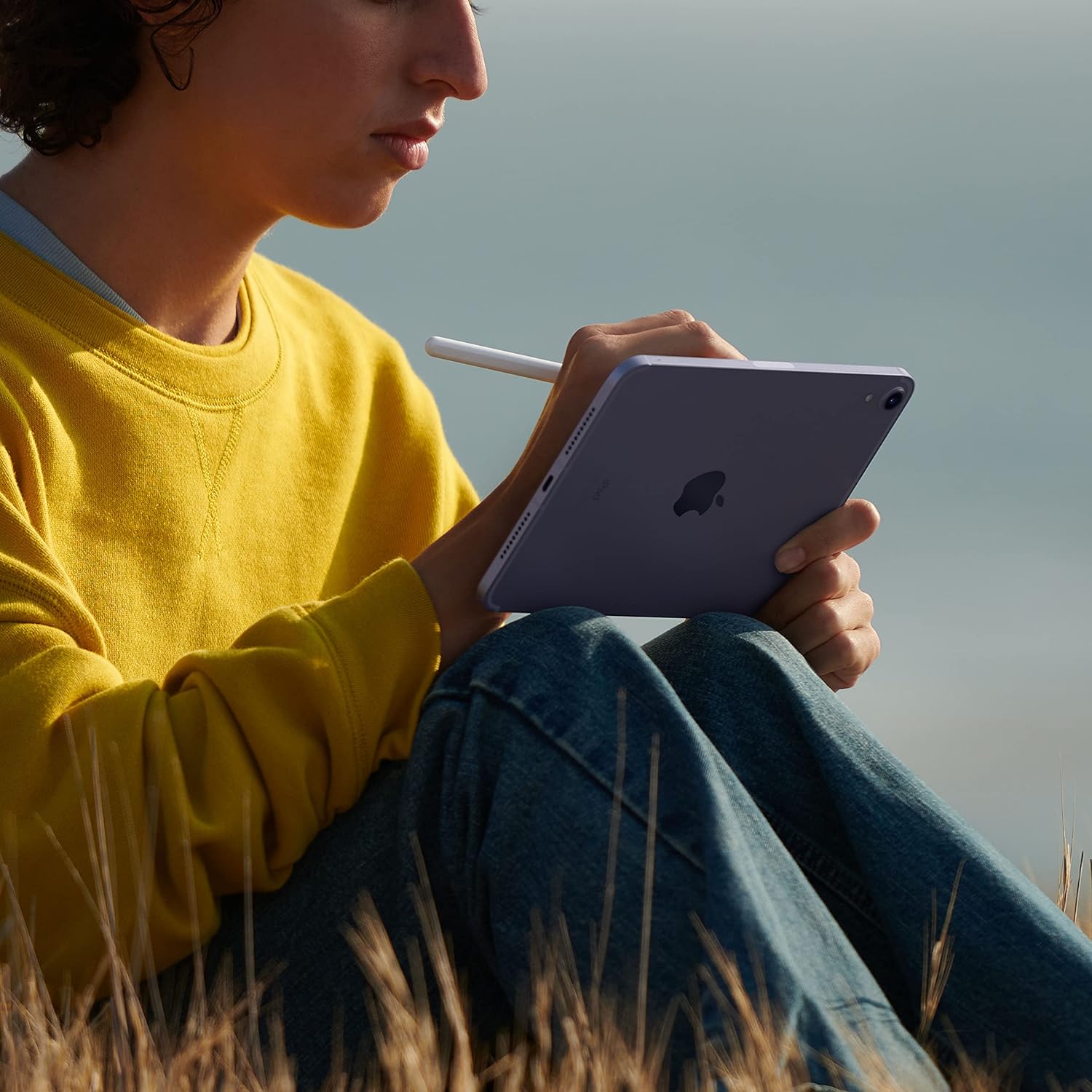 Apple 2021 iPad mini (8.3-inch, Wi-Fi + Cellular) - (6th Generation)