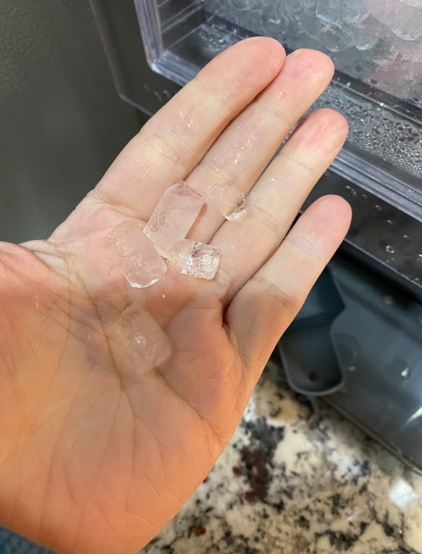 The ice maker